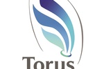 CK Torus – praca dla mgr ekonomii